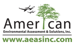 American Environmental Assessment Solutions, Inc.