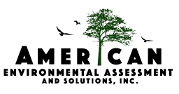 American Environmental Assessment & Solutions, Inc. American Environmental Assessment & Solutions, Inc.